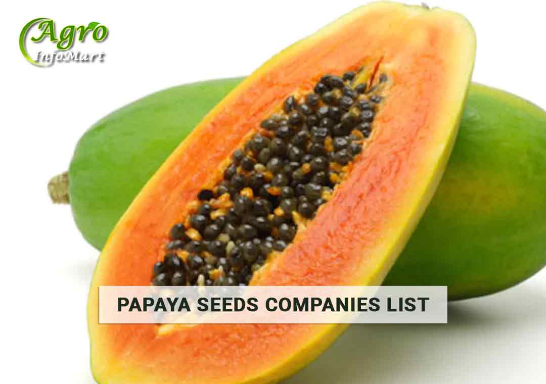 Papaya Seeds Manufacturers Companies List In India