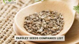 Parsley Seeds Manufacturers, Suppliers, Exporters Companies List In India