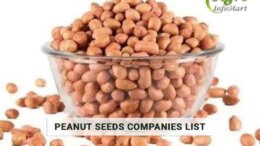 Five Star Quality Peanut Seeds Manufacturers Companies List From India