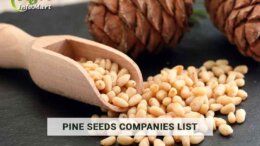 Pine Seeds manufacturers Companies List In India