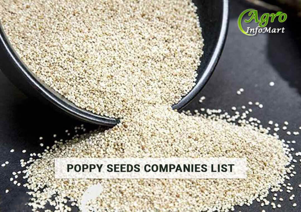 Poppy Seeds Manufacturers Companies List In India