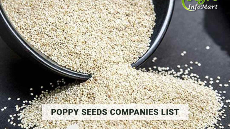 Poppy Seeds Manufacturers Companies List In India