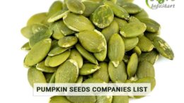 Pumpkin Seeds Manufacturers Companies List In India