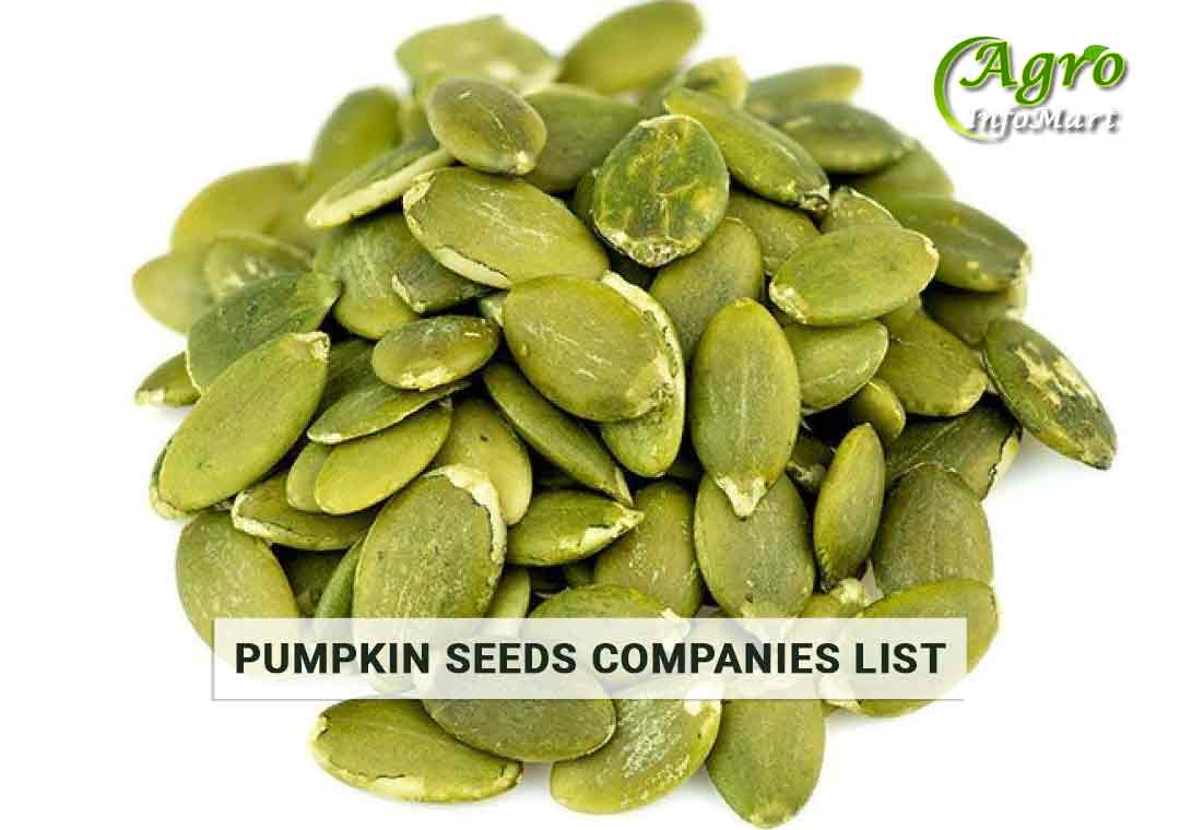 Pumpkin Seeds Manufacturers Companies List In India