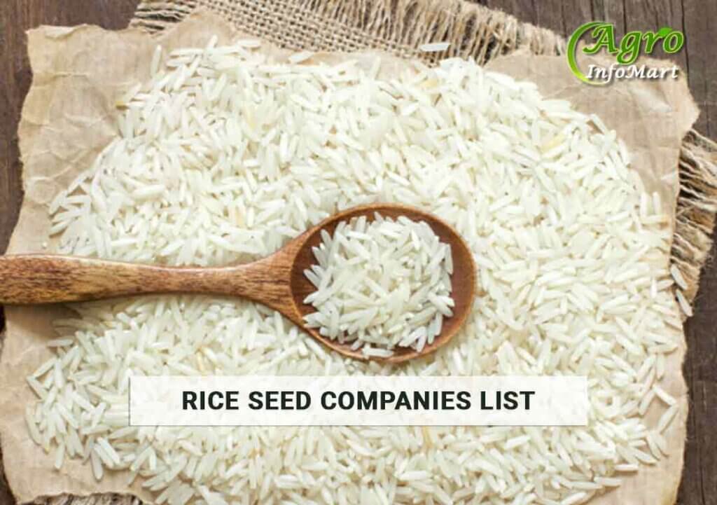Rice Seeds Manufacturers Companies List in India