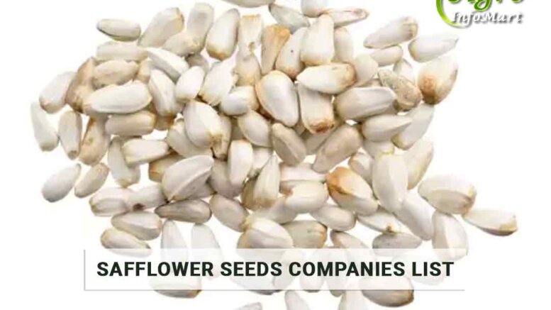 Safflower Seeds Manufacturers Companies List in India