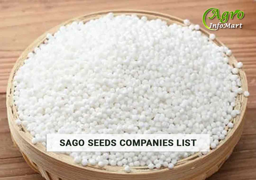 Sago Seeds Manufacturers Companies List in india