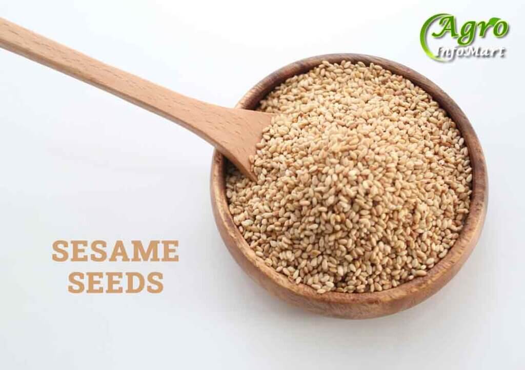 Sesame Seeds Manufacturers