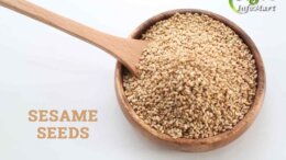 sesame seeds manufacturer Companies List