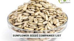 Sunflower Seeds Manufacturers Companies List From India