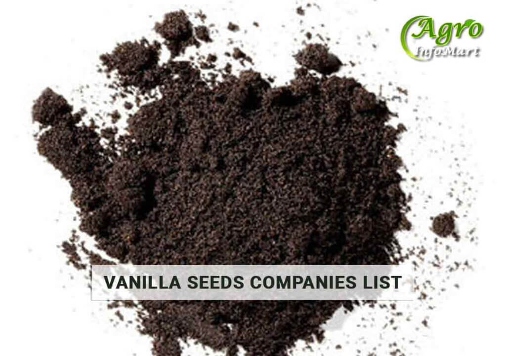 Prime Vanilla Seeds Manufacturers, Suppliers, Exporters Companies List From India