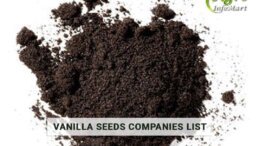 Prime Vanilla Seeds Manufacturers, Suppliers, Exporters Companies List From India
