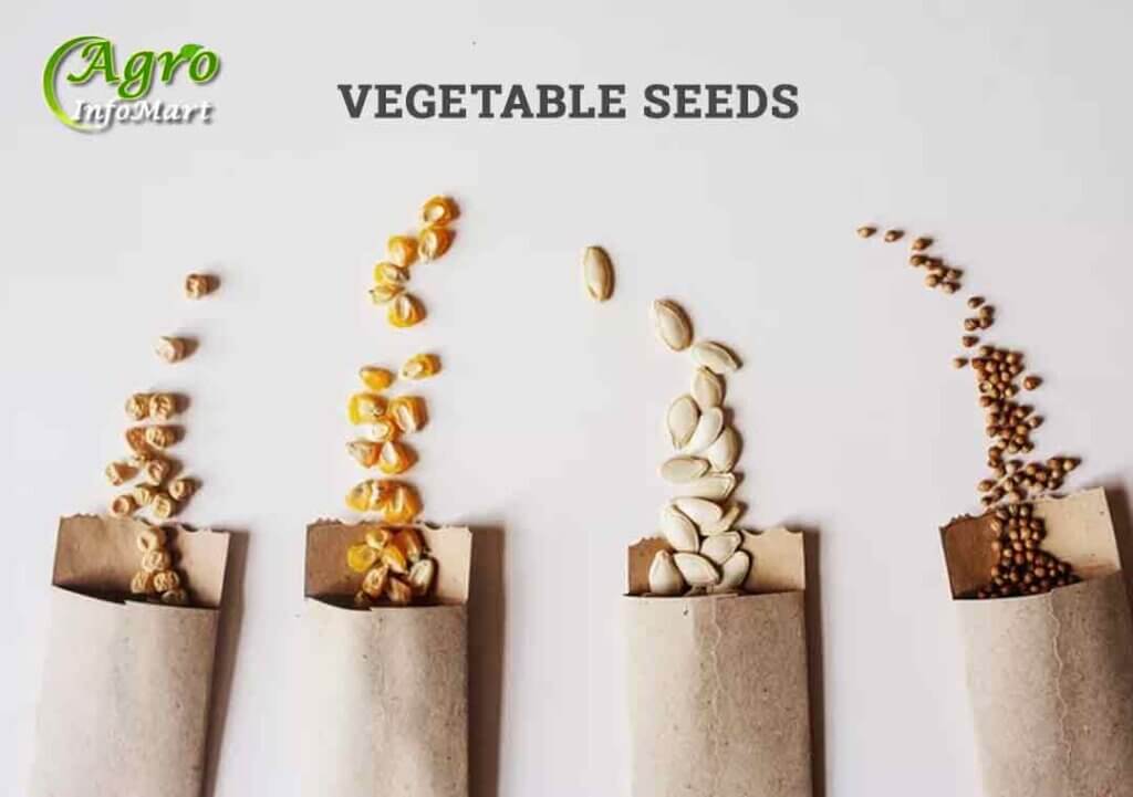 Vegetable Seeds Manufacturers Company's List in India