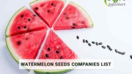 Watermelon Seeds Manufacturers Companies in India