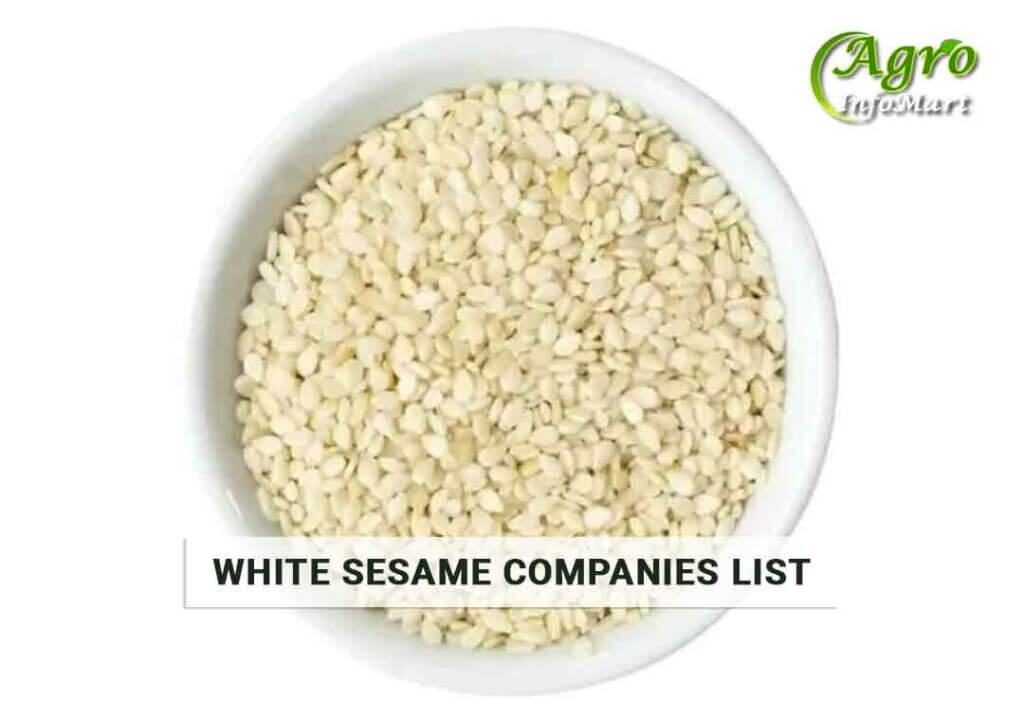 white sesame seeds Manufacturers Companies List in India