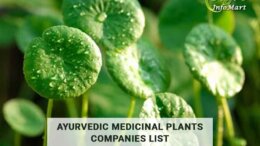 ayurvedic medicinal plants manufacturer Companies In India