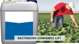 Bactericide Manufacturers Companies In India