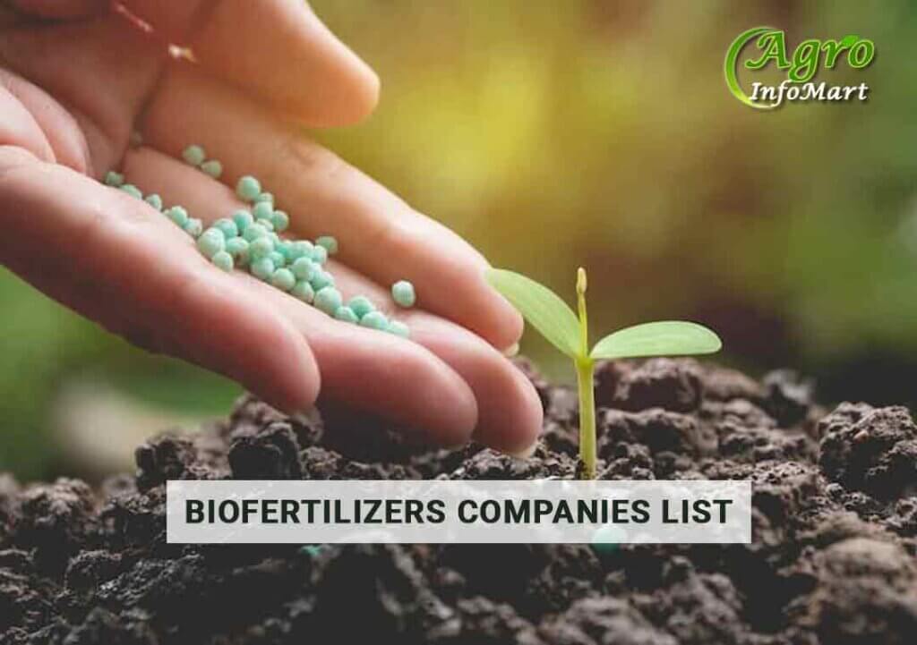 Good Quality Of biofertilizers Manufacturers, Suppliers, Companies From India