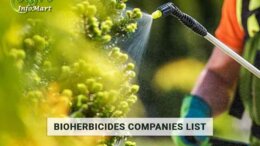 India's High Quality Bioherbicides Manufacturers Company In India