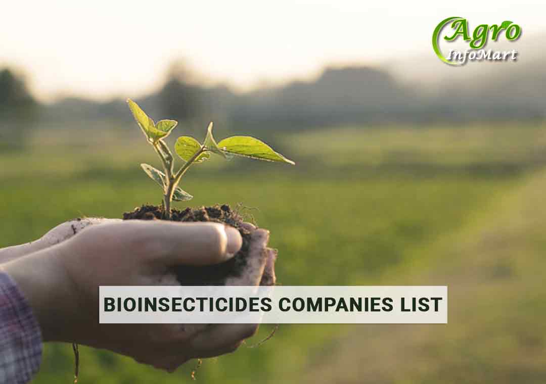 India's Great bioinsecticides Companies , Manufacturers, Suppliers In India