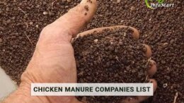 chicken manure Manufacturers Companies In India