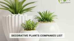 Decorative Plants Manufacturers Companies List in India