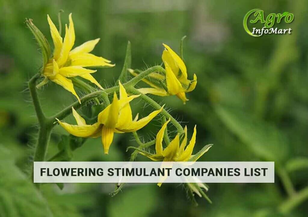 Best Quality Flowering Stimulant Manufacturers Company In India