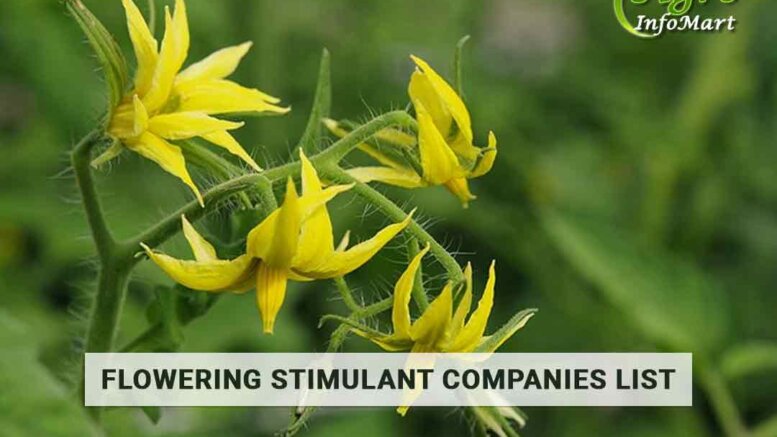 Best Quality Flowering Stimulant Manufacturers Company In India