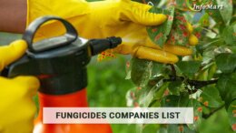 Fungicides Manufacturers, Supplier, Exporters In India