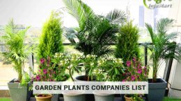 India's High Quality garden plants Manufacturers Companies In India
