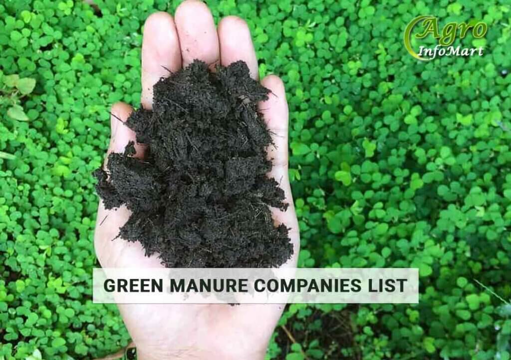 High Quality Of Green Manure manufacturers, Suppliers, Exporters Companies In India 