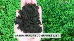 High Quality Of Green Manure manufacturers, Suppliers, Exporters Companies In India