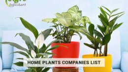 home plants manufacturers companies in india