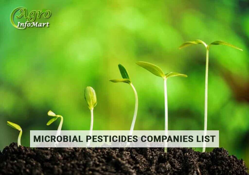 Top Quality Microbial Pesticides Manufacturers, Suppliers, Exporters in India