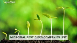 Top Quality Microbial Pesticides Manufacturers, Suppliers, Exporters in India