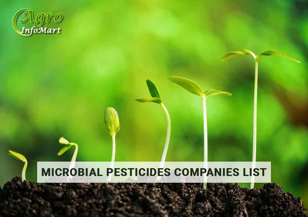 Top Quality Microbial Pesticides Manufacturers, Suppliers, Exporters in India 