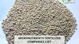 Micronutrients Fertilizer manufacturers Companies List From India