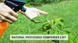 Natural Pesticides Manufacturers And Suppliers In India