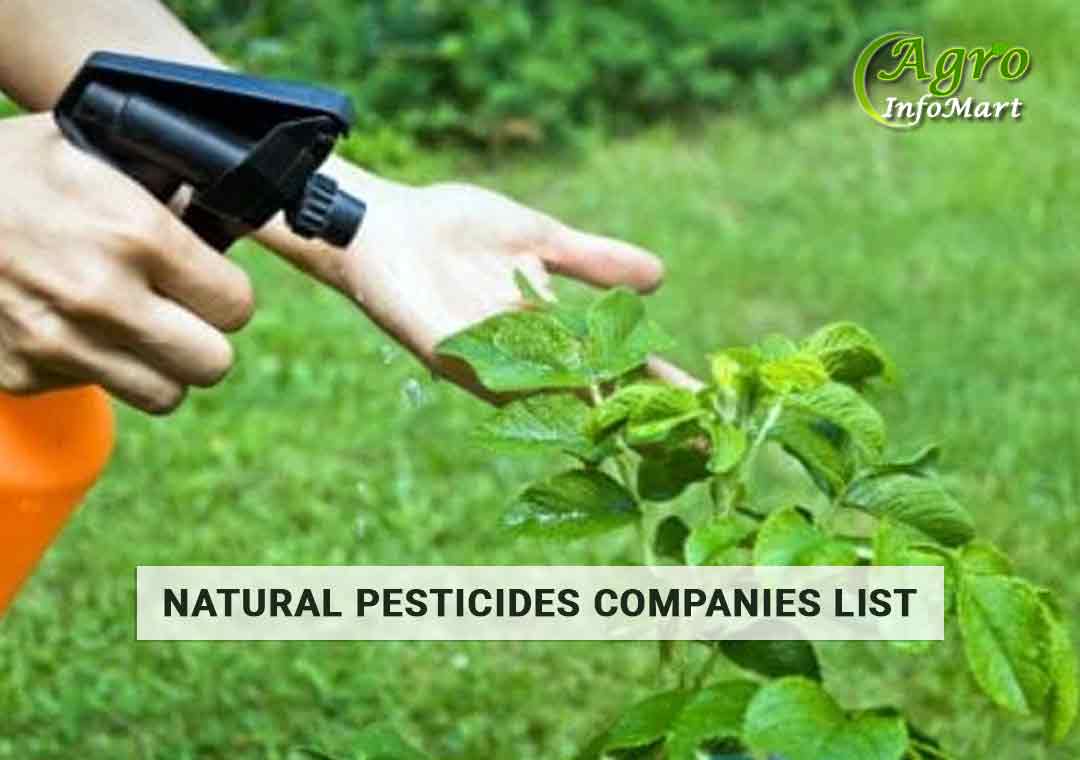 Natural Pesticides Manufacturers And Suppliers In India