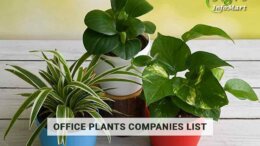 Office Plants Manufacturers Companies List in India