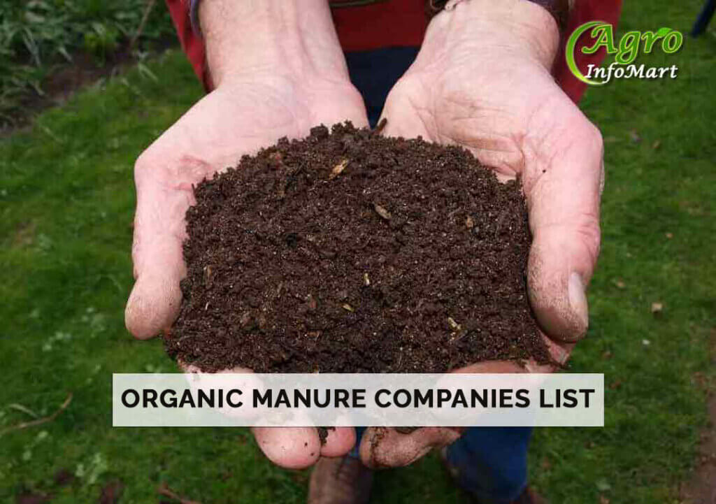 Finest Quality Organic Manure Manufacturers Companies In India