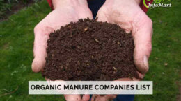 Finest Quality Organic Manure Manufacturers Companies In India