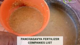 India's Top Quality Panchagavya Fertilizer Manufacturers Companies List