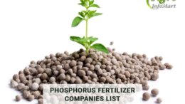 phosphorus fertilizer manufacturers Companies In India