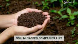 Soil Microbes Manufacturers Companies List In India