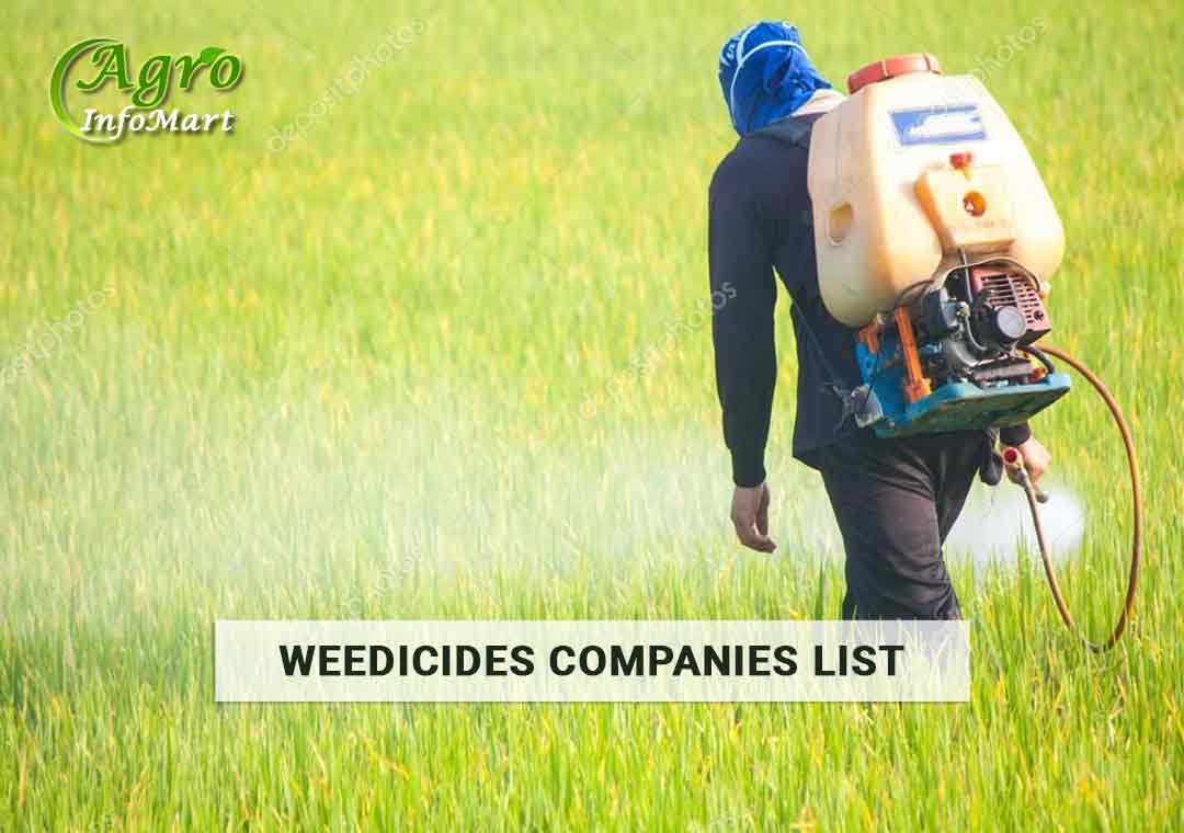 Weedicides Manufacturers From Inida