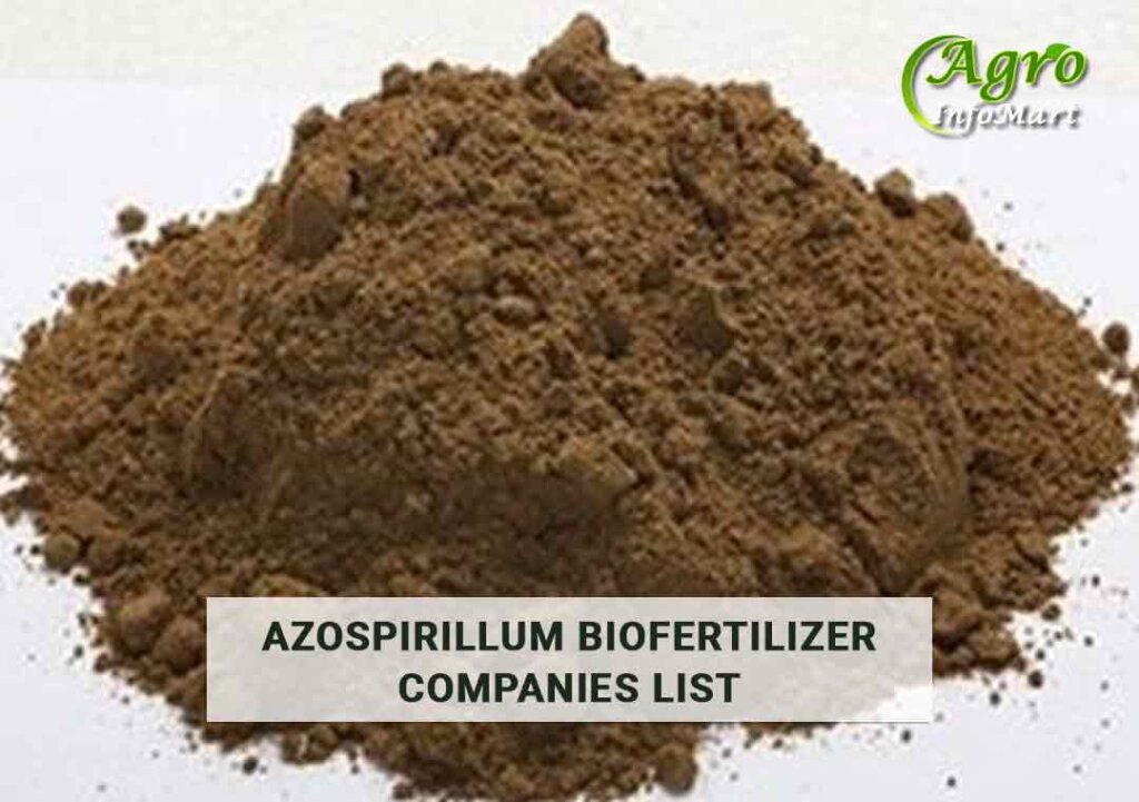 azospirillum biofertilizer Manufacturers Companies In India