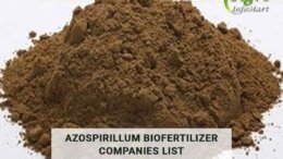 azospirillum biofertilizer Manufacturers Companies In India