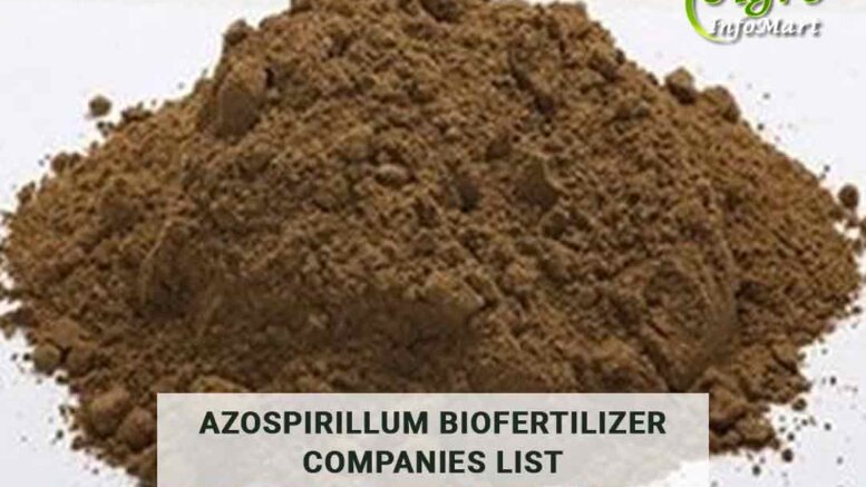 azospirillum biofertilizer Manufacturers Companies In India