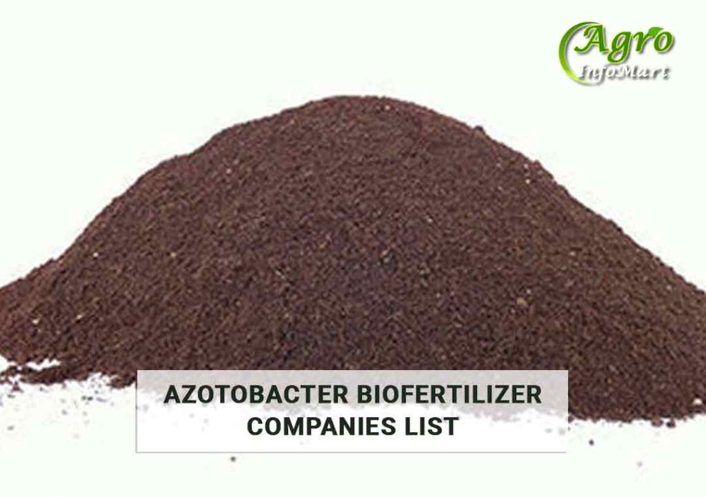 Azotobacter Biofertilizer manufacturers Companies In India